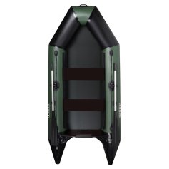 Моторная лодка Aqua-Star Dingi D-310