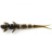Силикон FishUP Flit 1.5" (10шт) #043 - Watermelon Brown/Black