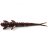 Силикон FishUP Flit 1.5" (10шт) #012 - Chaos