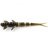 Силикон FishUP Flit 1.5" (10шт) #043 - Watermelon Brown/Black