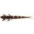 Силикон FishUP Flit 1.5" (10шт) #050 - Green Pumpkin Brown/Red & Purple