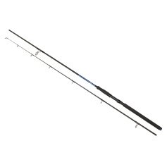 Спиннинг Golden Catch  Passion Power 3.00м 40-125гр