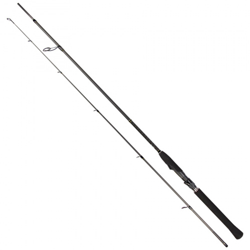 Спінінг Golden Catch Desire DSS-662MH 1.98м 10-35г