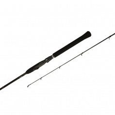 Спиннинг Golden Catch Desire DSS-662MH 1.98м 7-28г