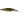 Воблер Usami Wasabi Shad 80SP-DR 10,8г, 450, 2,5м
