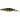 Воблер Usami Wasabi Shad 80SP-DR 10,8г, 450, 2,5м