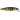 Воблер Usami Nishin 65F-SR 6,6г, 450, 0,8м