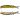 Воблер Jackall Magallon SP 113mm 13.7g HL Gold&Silver Black Воблер Jackall Magallon SP 113mm 13.7g HL Gold&Silver Black