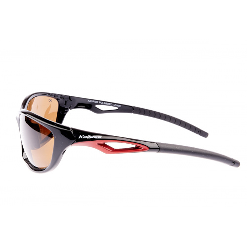 Очки Kalipso polarized BR1010SB/BR-B