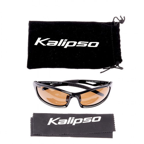 Очки Kalipso polarized BR1010SB/BR-B
