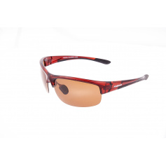 Очки Kalipso polarized BR1012SW/BR-C
