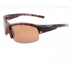 Очки Kalipso polarized BR1019MDBR/BRR-C