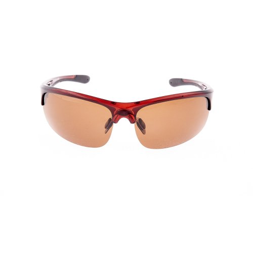 Очки Kalipso polarized BR1012SW/BR-C