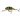 Воблер Savage Gear 3D Goby Crank Bait 40F 40mm 3.5g UV Firetiger