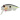 Воблер Tsuyoki PLUG SSR 38F #172