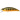 Воблер DUO Spearhead Ryuki 45S Single Hook 45mm 4.0g ANAZ073