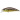 Воблер DUO Spearhead Ryuki 45S 45mm 4.0g ADA4007