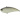 Воблер DUO Realis Vibration 62 Apex Tune 62mm 9.7g CCC3276 LV Shad