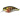 Воблер DUO Realis Crank Mid Roller 40mm 5.3g ADA3058 Prism Gill