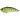 Воблер DUO Realis Vibration 62S 62mm 11.0g CCC3055