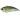 Воблер DUO Realis Vibration 62 62mm 11.0g DRA3050 Half Mirror Ayu