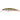 Воблер DUO Spearhead Ryuki 70S Awabi 70mm 9.0g DDH4038 Yamame RB AM
