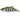 Воблер DUO Spearhead Ryuki VIB 45mm 5.3g ANA4034 Yamame