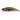 Воблер DUO Spearhead Ryuki 45S Awabi 45mm 4.0g DDH4038 Yamame RB AM