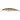 Воблер DUO Spearhead Ryuki 70S Awabi 70mm 9.0g DDH4038 Yamame RB AM
