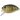 Воблер DUO Incubator Drop 75F 38mm 7.9g ACC3106