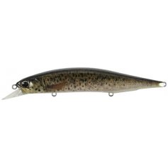 Воблер DUO Realis Jerkbait 120SP Pike 120mm 17.8g CCC3815