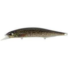 Воблер DUO Realis Jerkbait 120SP Pike 120mm 17.8g CCC3815