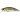Воблер DUO Spearhead Ryuki 45S Awabi 45mm 4.0g DNH4042 Ayu AM