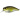Воблер DUO Realis Crank Mid Roller 40mm 5.3g CCC3358 GA Ayu