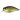 Воблер DUO Realis Crank Mid Roller 40mm 5.3g CCC3358 GA Ayu