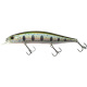 Воблер DUO Realis Jerkbait 120SP 120mm 18.0g N-34