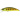 Воблер DUO Spearhead Ryuki 50S 50mm 4.5g ANI4004 Natural Yamame