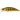 Воблер DUO Spearhead Ryuki 45S D3 45mm 4.0g ANAZ073