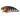 Воблер DUO Realis Crank 48SR 48mm 7.0g ADA3058
