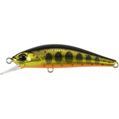 Воблер DUO Spearhead Ryuki 50S Takumi 50mm 4.0g MCC4084 Gold Yamame