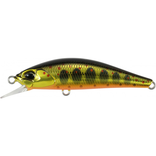 Воблер DUO Spearhead Ryuki 50S Takumi 50mm 4.0g MCC4084 Gold Yamame