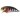 Воблер DUO Realis Crank 48SR 48mm 7.0g ADA3058