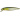 Воблер Usami Nishin 65SP-SR 7.0g #331 (0.8m)