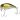 Воблер Jackall Chubby 38 SSR 38мм 4.2г Ayu