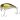 Воблер Jackall Chubby 38 SSR 38мм 4.2г Ayu
