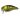 Воблер Jackall Chubby 38 SSR 38мм 4.2г Ghost G Perch